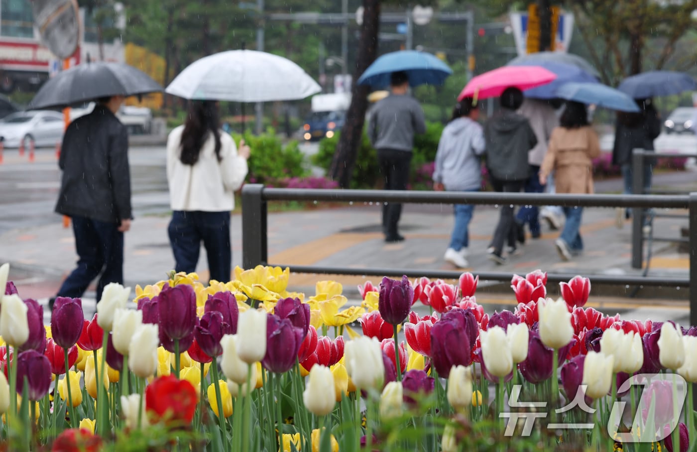 봄비가 내린 22일 오후 경기 수원시의 한 거리에서 시민들이 우산을 쓰고 지나가고 있다. 2025.4.22/뉴스1 ⓒ News1 김영운 기자