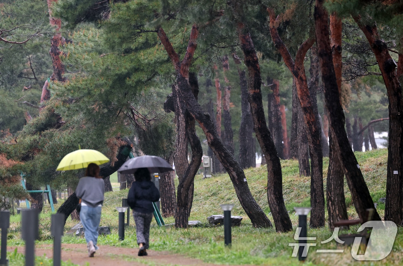 자료사진./뉴스1