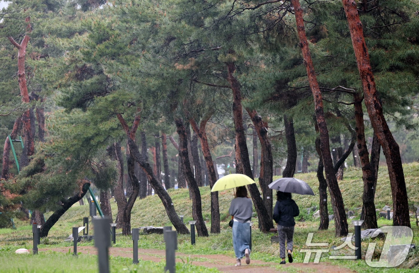 봄비가 내린 22일 오후 경기 수원시 장안구 노송지대에서 시민들이 우산을 쓰고 지나가고 있다. 2025.4.22/뉴스1 ⓒ News1 김영운 기자