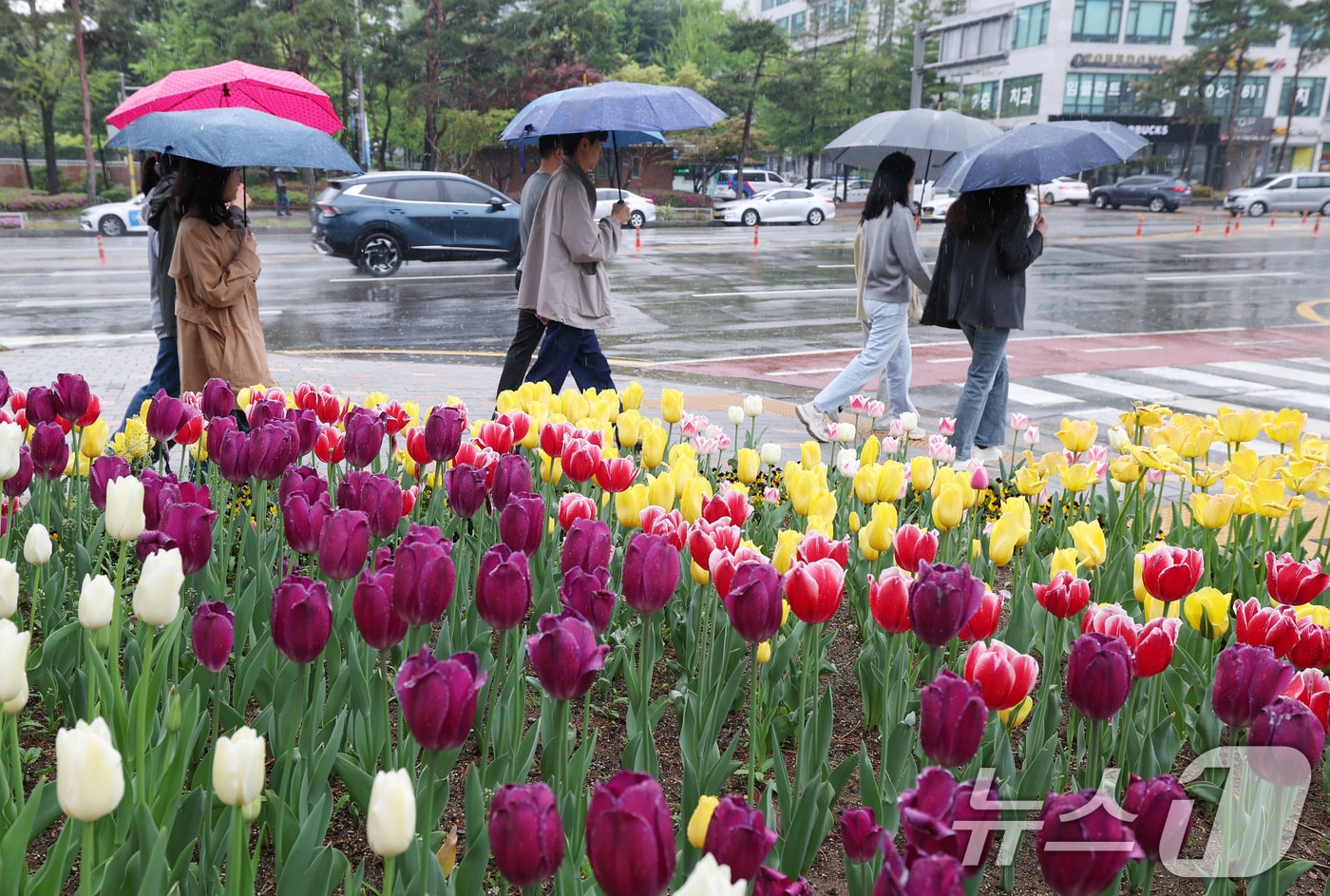 자료사진/뉴스1 ⓒ News1 