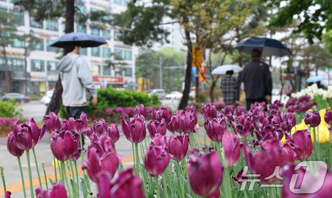 봄비가 내린 22일 시민들이 우산을 쓰고 지나가고 있다. 2025.4.22/뉴스1 ⓒ News1 김영운 기자