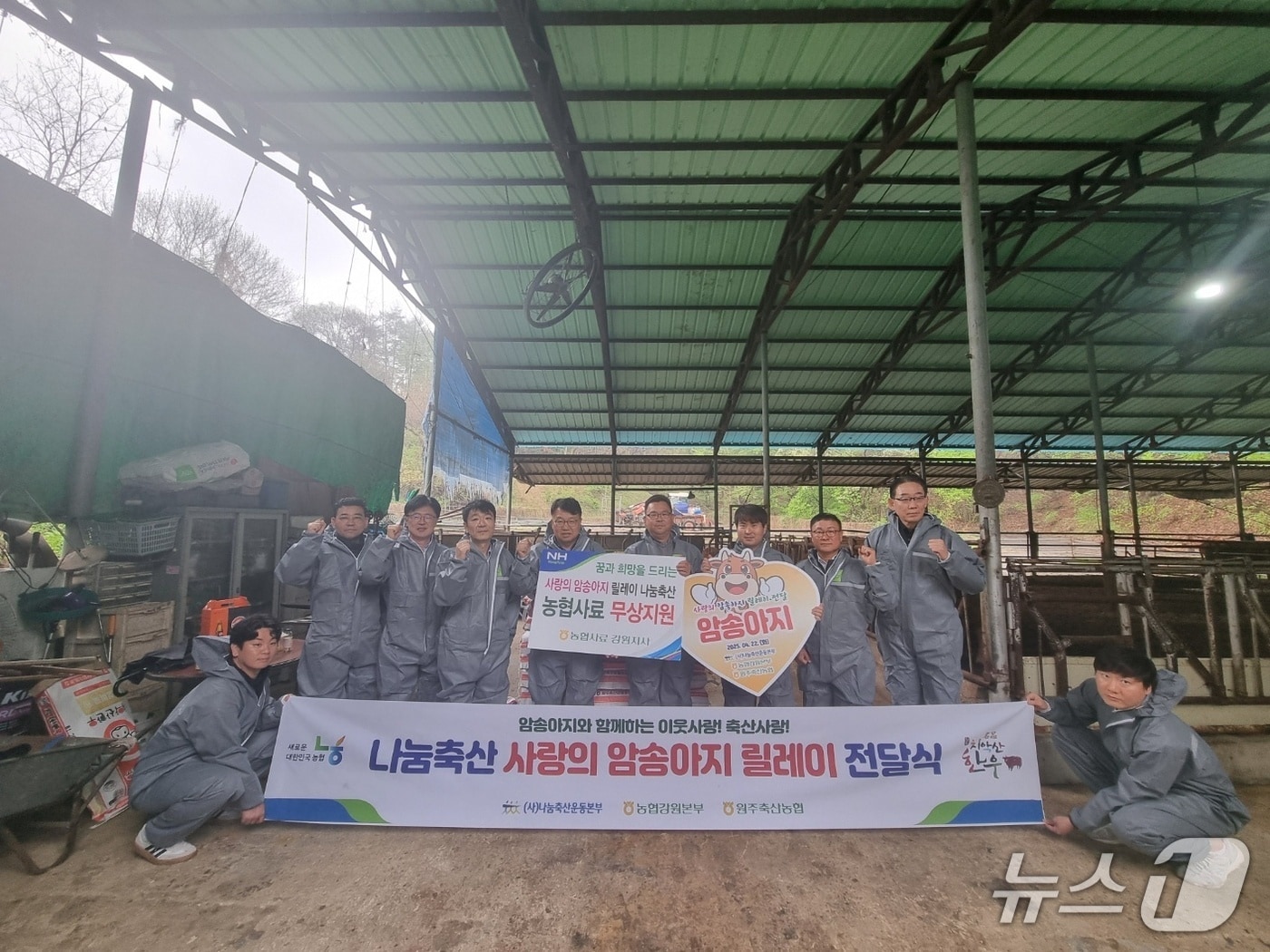 ‘사랑의 암송아지 릴레이 전달식.&#40;농협 강원본부 제공. 재판매 및 DB금지&#41;/뉴스1