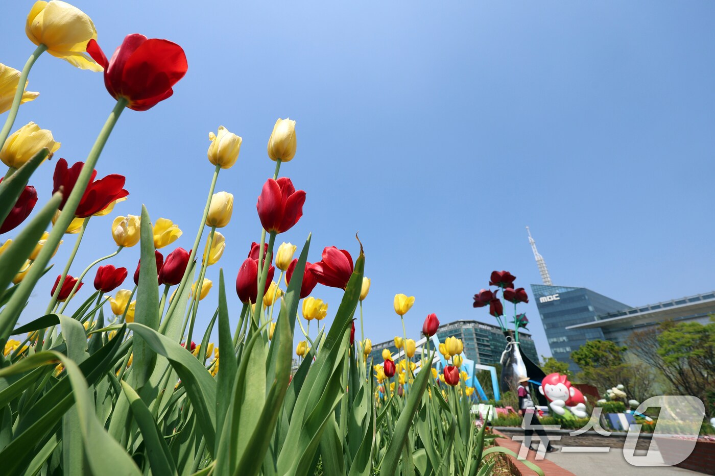 공원에 튤립이 피어 있다. (자료사진) ⓒ News1 황기선 기자