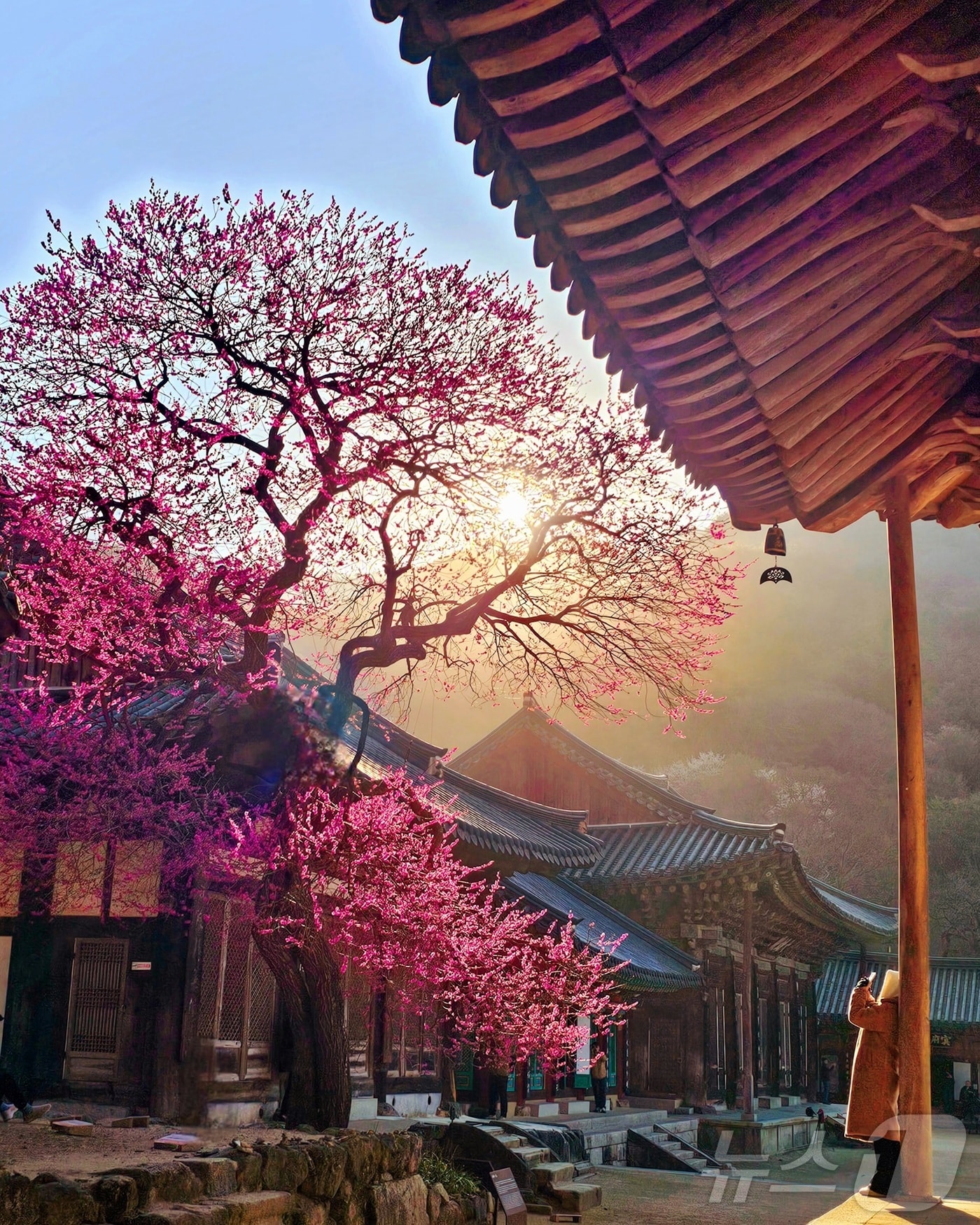 화엄사 사진 콘테스트 수상작.(구례군 제공. 재판매 및 DB 금지)