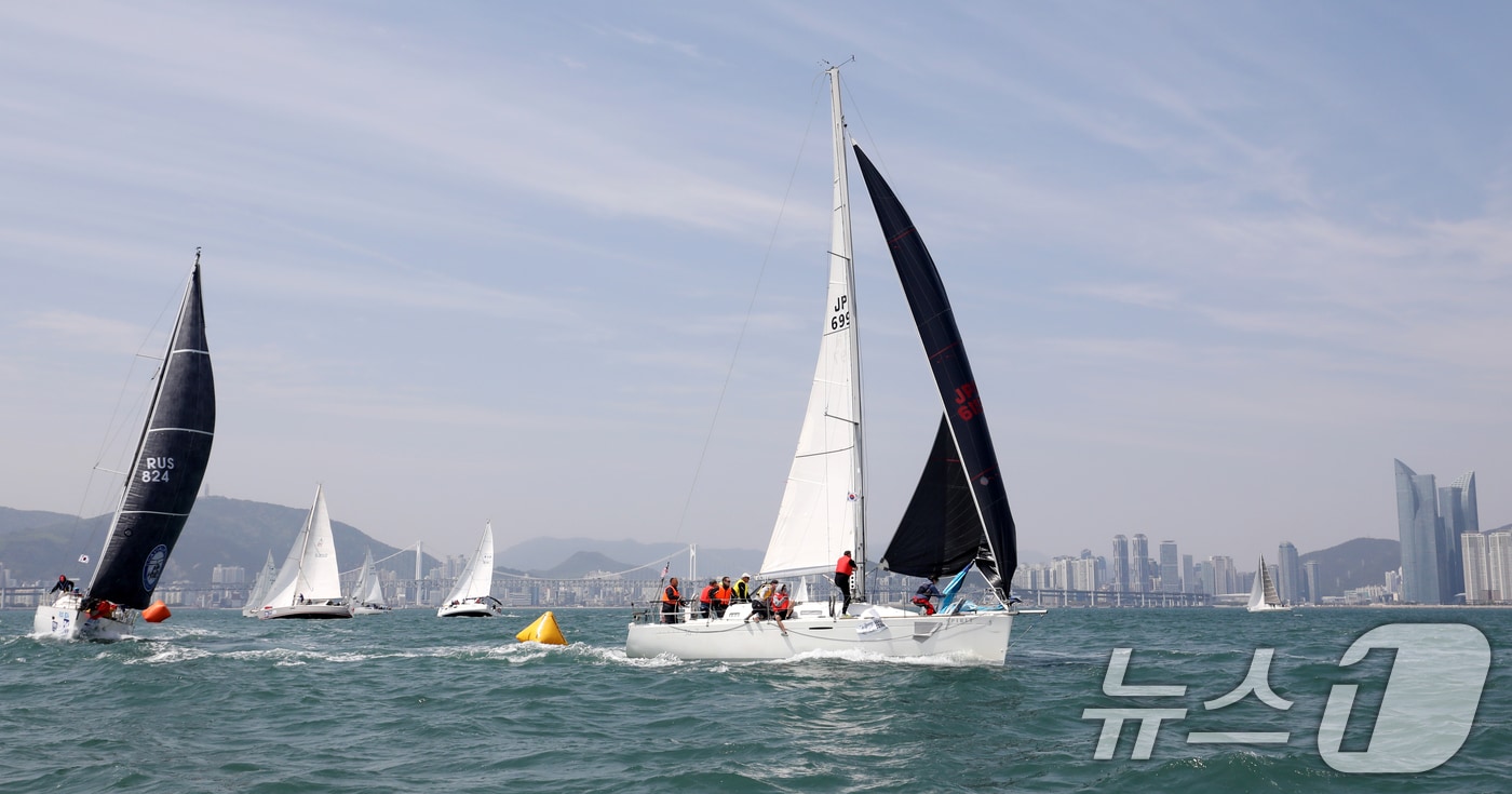 물살을 가르며 질주하는 요트.(뉴스1 DB)ⓒ News1 윤일지 기자