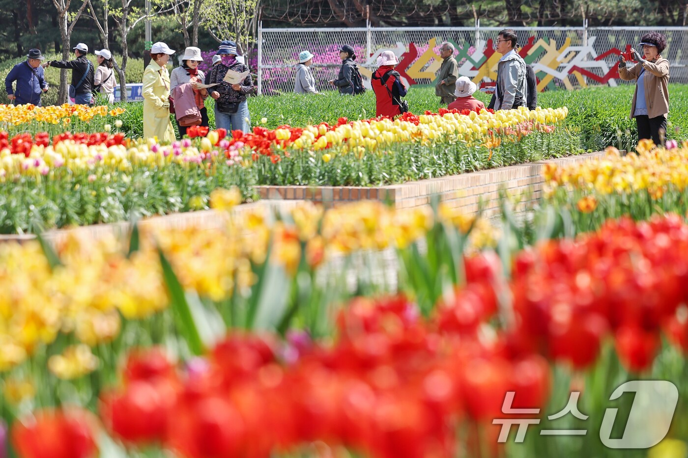 25일 오후 경기 고양시 일산동구 일산호수공원에서 열린 '2025 고양 국제꽃박람회'를 찾은 시민들이 봄나들이를 즐기고 있다.  /뉴스1 ⓒ News1 민경석 기자