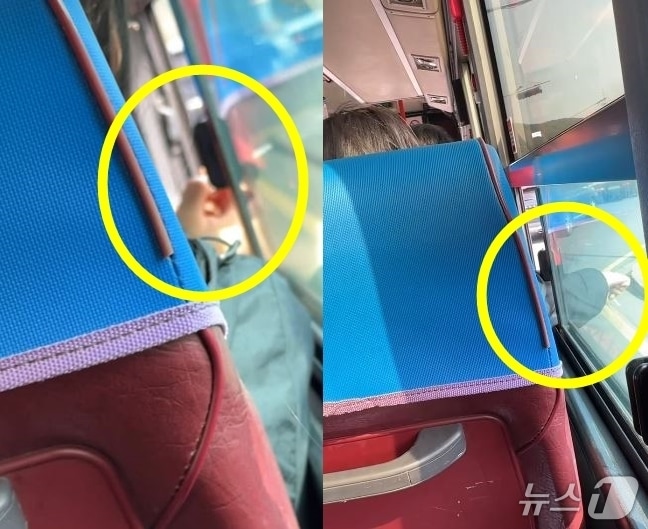 (인스타그램 갈무리) /뉴스1