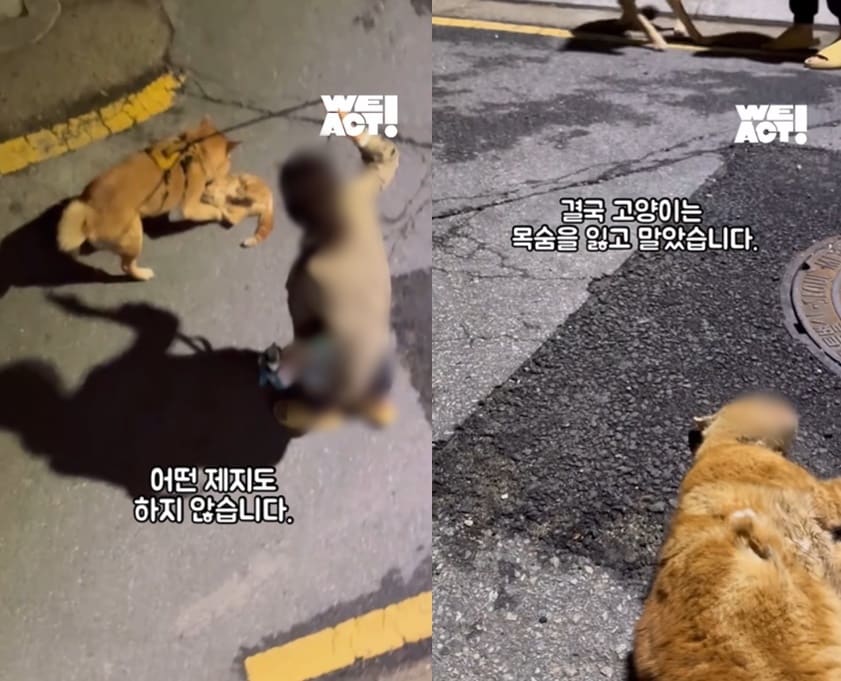 (위액트 인스타그램 갈무리)