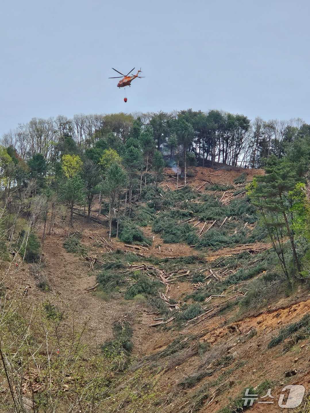 강원 홍천 두촌면 원동리 산불 현장.(강원도소방본부 제공, 재판매 및 DB금지)