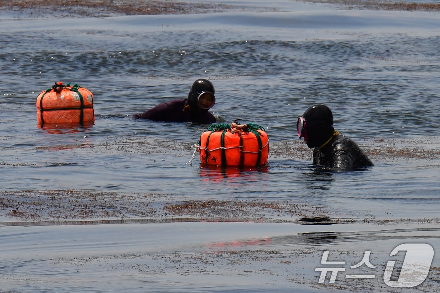 (사진은 기사 내용과 무관함) / 뉴스1 ⓒ News1