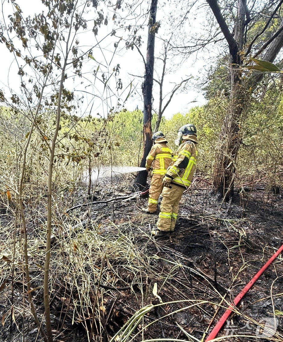 27일 오전 11시 36분께 전북자치독 순창군 풍산면 삼촌리의 한 주택 뒤 대나무밭에서 화재가 발생했다.(전북소방본부 제공, 재판매 및 DB 금지)/뉴스1