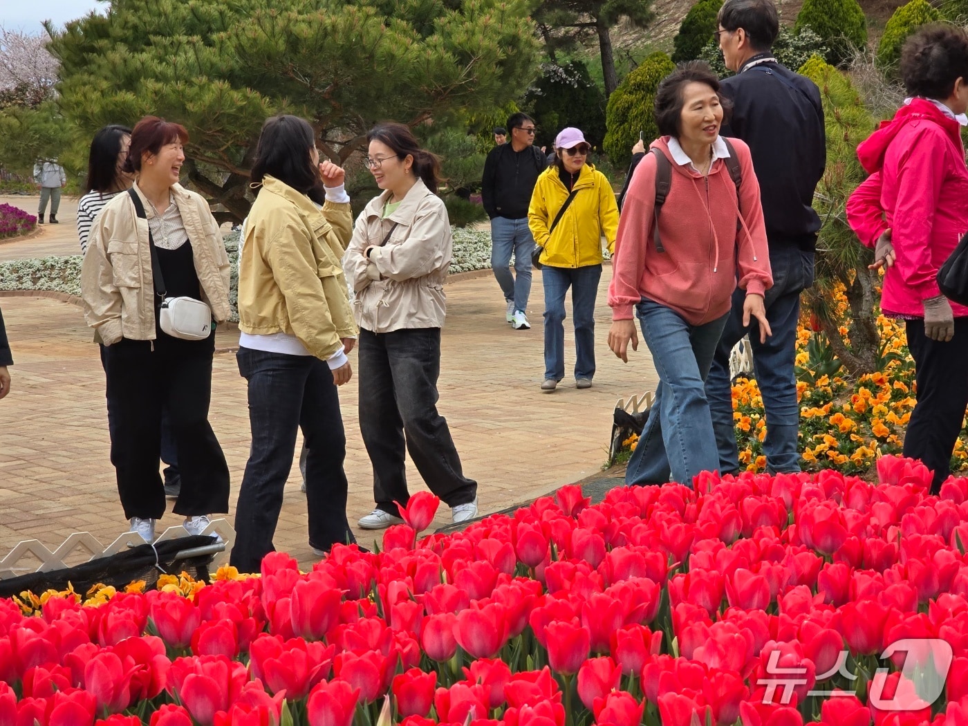 20225 태안 세계튤립꽃박람회장. / 뉴스1
