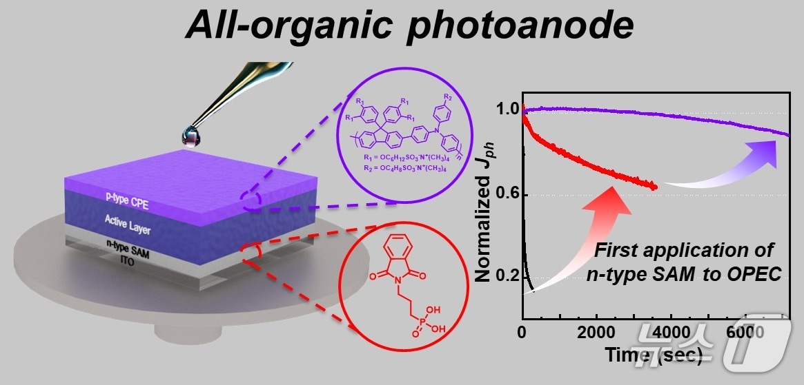 연구팀이 개발한 고안정성 전유기 광전극의 구조와 성능. (UNIST 제공. 재판매 및 DB 금지) /뉴스1