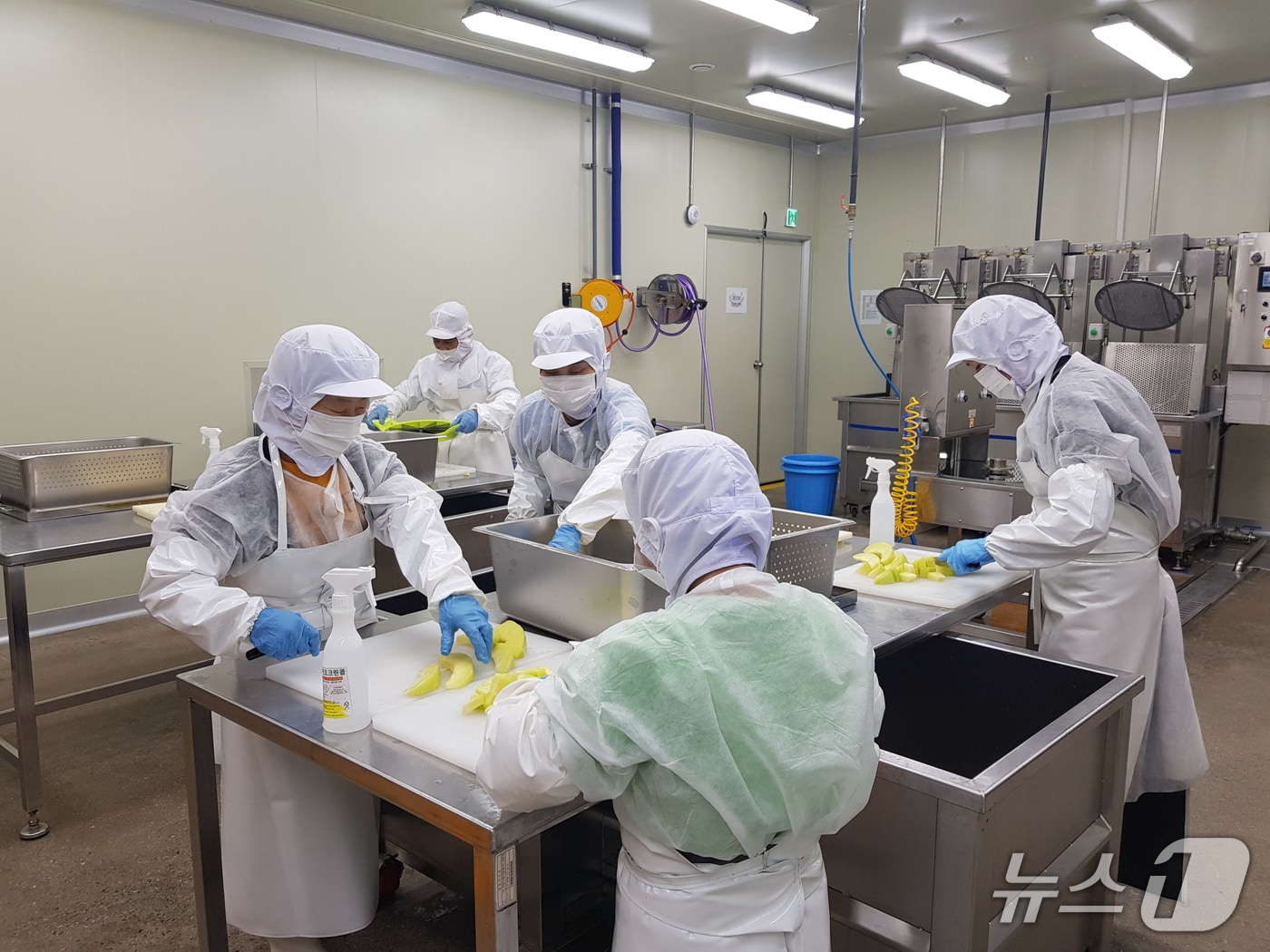 춘천시, 초등 돌봄교실·다함께돌봄센터 어린이 과일 간식 지원사업.(춘천시 제공, 재판매 및 DB금지)