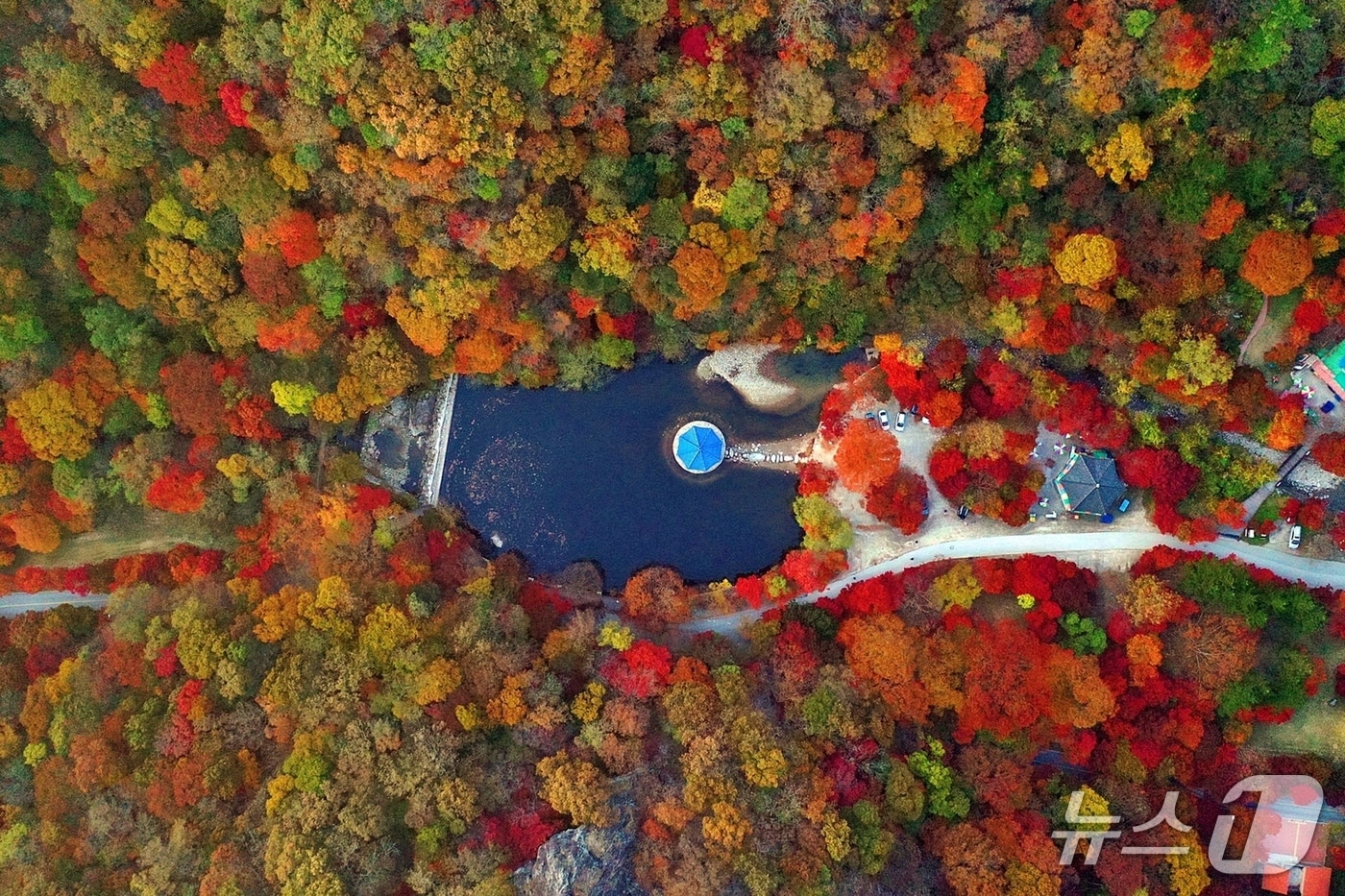 정읍시가 수도권 관광객을 대상으로 트래블스냅 전문가와 함께하는 ‘인생사진 기차여행’을 새롭게 선보인다. 하늘에서 본 내장산 우화정(정읍시 제공, 재판매 및 DB금지) 