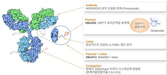 오름테라퓨틱이 개발 중인 단백질분해제항체접합체(TDC) 'ORM-5029' 모식도.(오름테라퓨틱 제공)