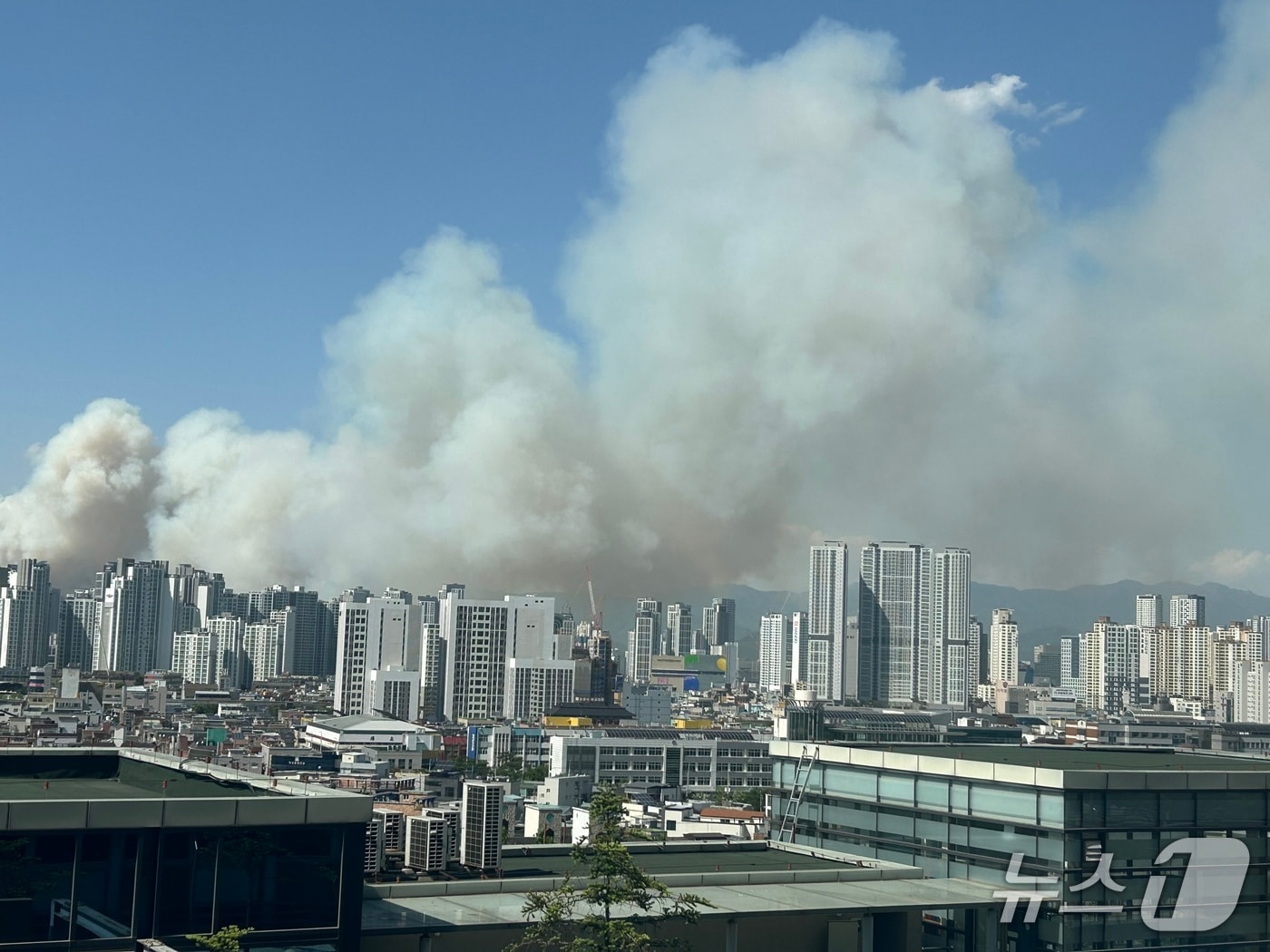 28일 오후 2시 1분쯤 대구 북구 노곡동 함지산에 불이 나 다량의 연기가 도심 곳곳에서 목격되고 있다. 사진은 남구 영남대병원 인근에서 목격된 연기. 2025.4.28/뉴스1 공정식 기자