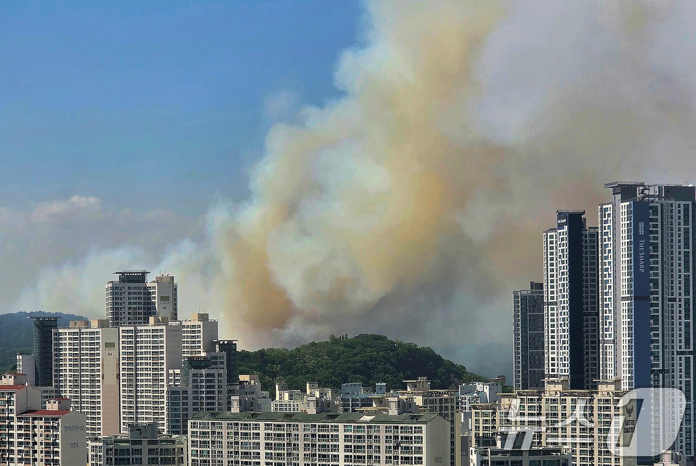 28일 오후 2시 1분쯤 대구 북구 노곡동 함지산에서 불이 나 연기가 바람을 타고 도심으로 번지고 있다. 2025.4.28/뉴스1 ⓒ News1 공정식 기자