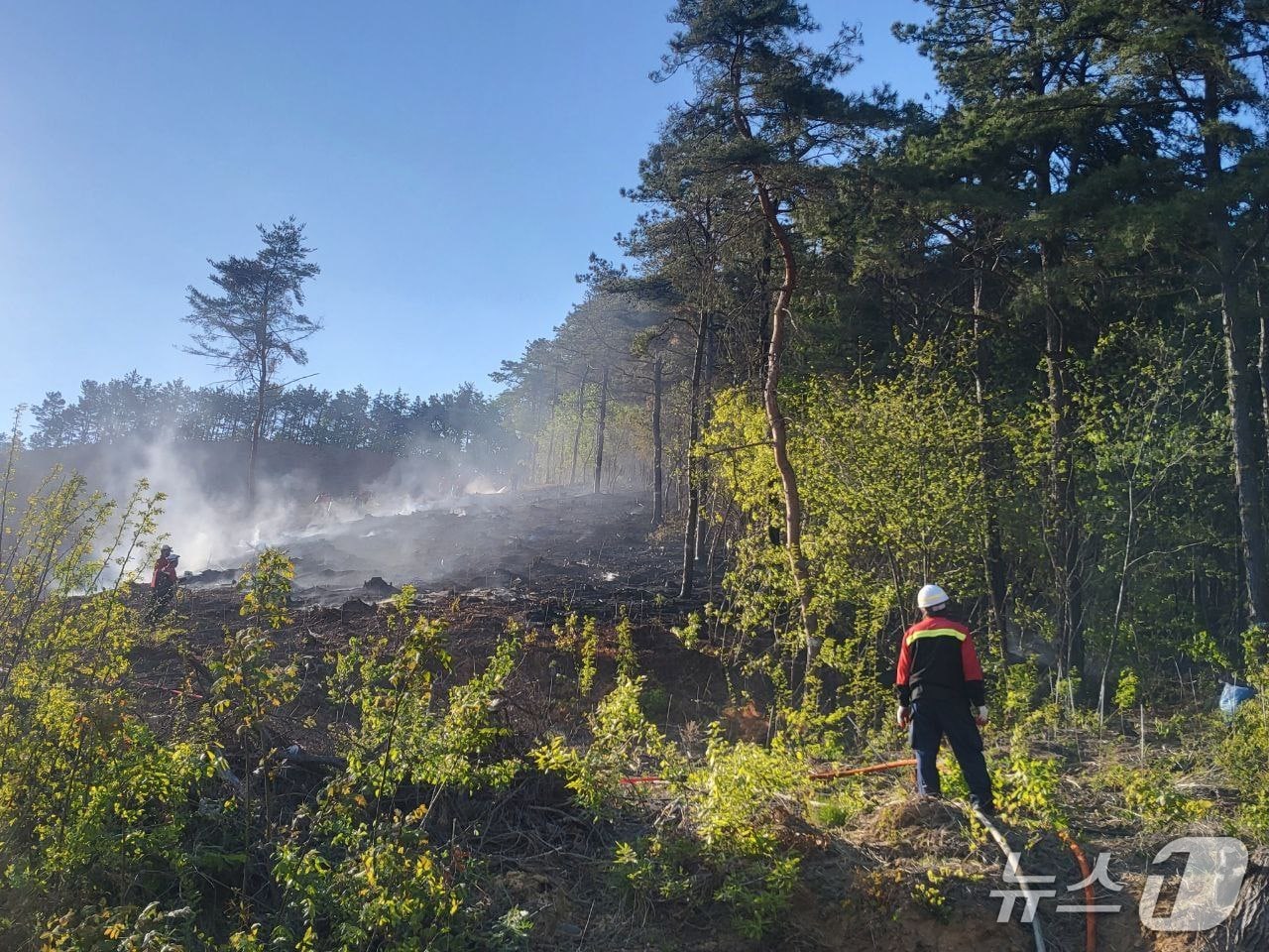26일 경기 평택시 진위면 동천리 야산에서 불이 나 산림 당국이 1시간 21분 만에 진화했다.(소방당국 제공. 재판매 및 DB 금지)/뉴스1