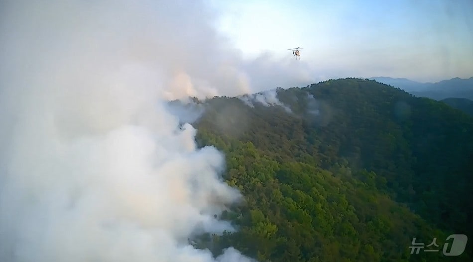 대구 북구 함지산 산불 발생 이틀째인 29일 산림 당국이 헬기 51대를 투입해 진화 작업을 펼치고 있다.(산림청 제공. 재판매 및 DB 금지) 2025.4.29/뉴스1 ⓒ News1 이성덕 기자