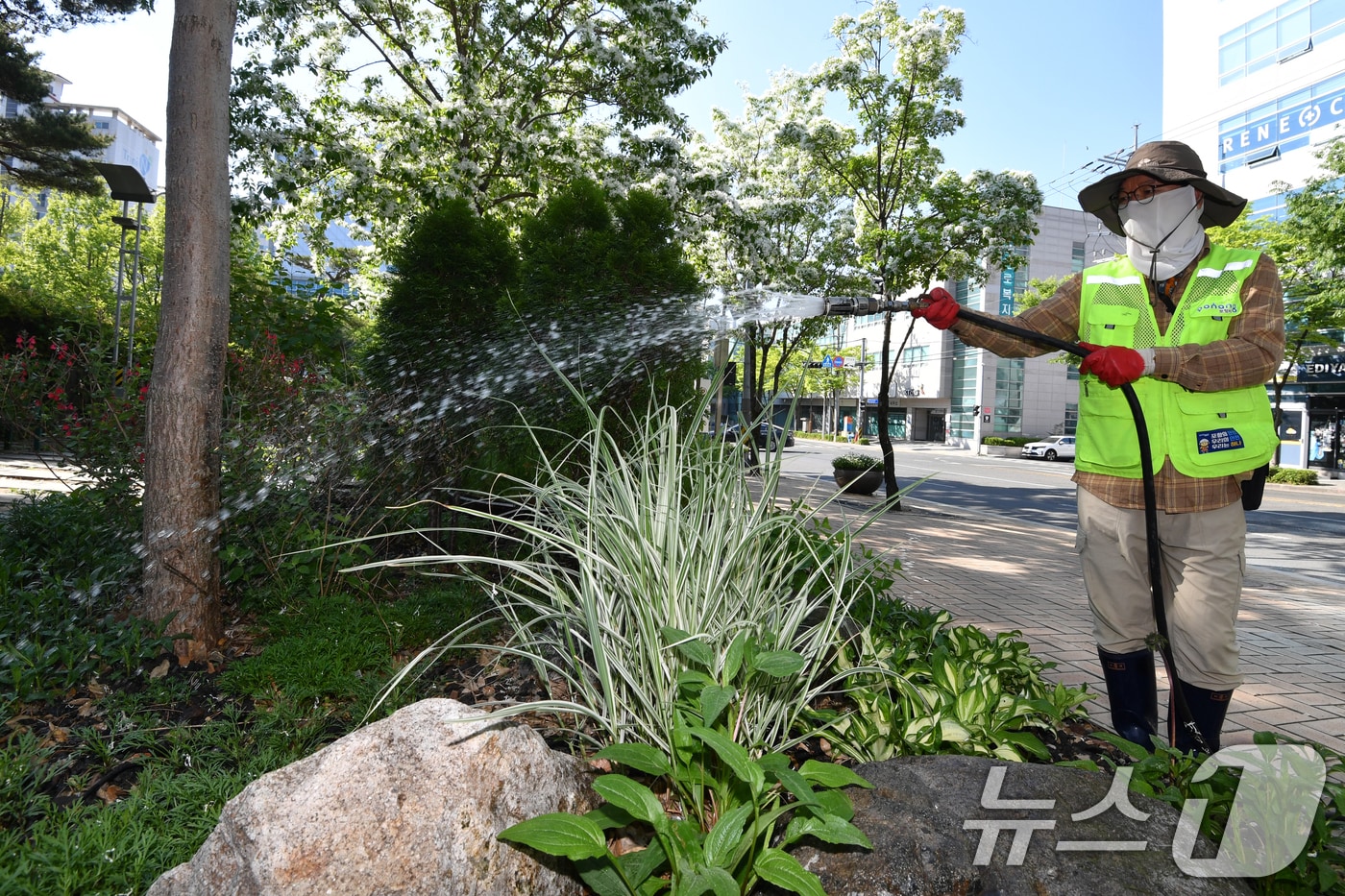 경북 포항시 남구 포항시청 앞에 있는 작은 정원에서 근로자들이 물을 주고 있는 모습. (뉴스1 자료) 2025.7.3/뉴스1
