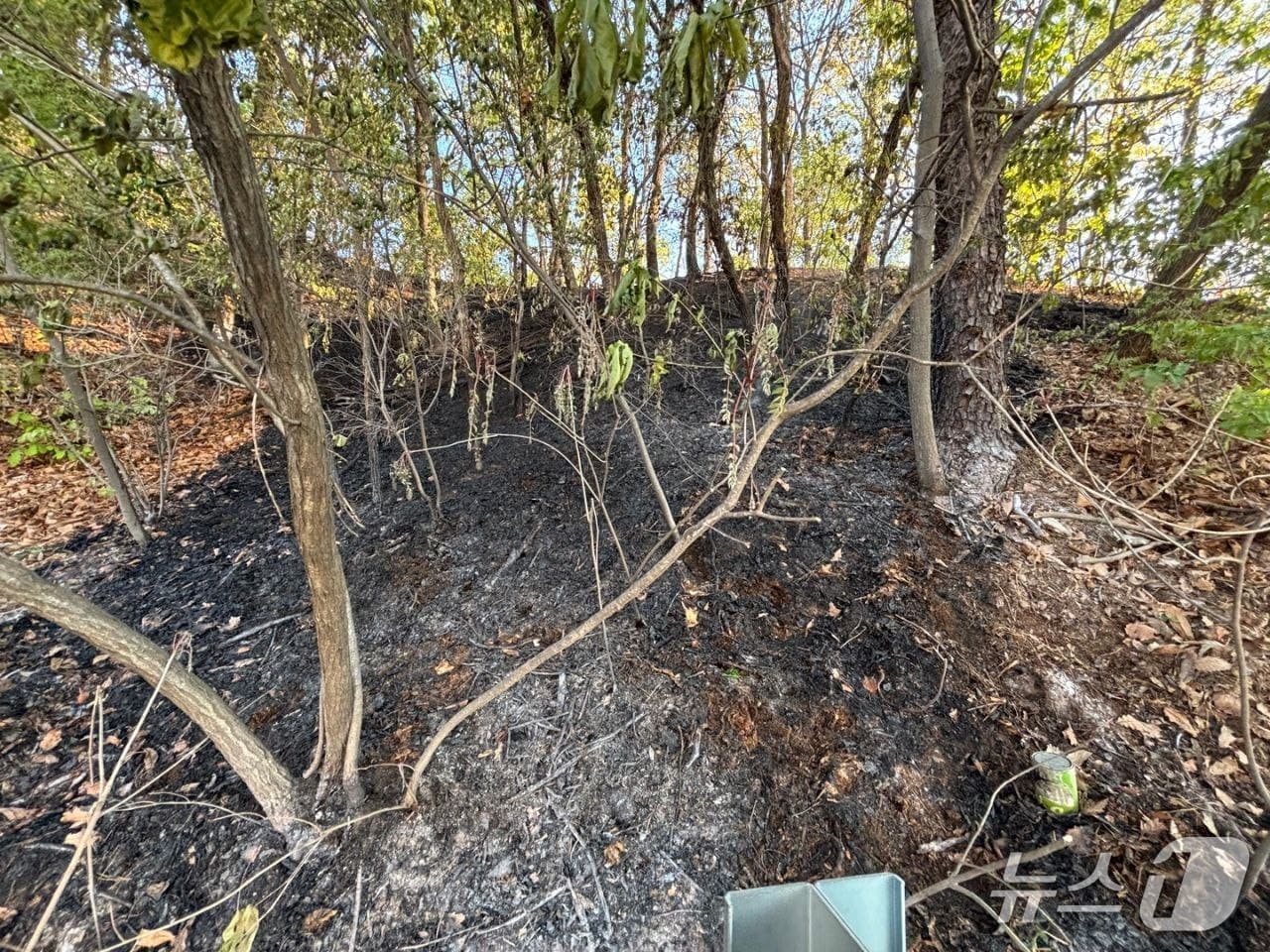 경기 양주시 덕정동 덕정 근린공원 화재 현장(양주소방서 제공. 재판매 및 DB 금지)/뉴스1