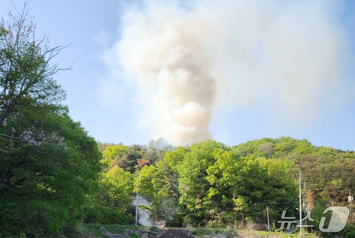 29일 오후 4시 38분쯤 경북 고령군 운수면 봉평리 야산에서 산불이 발생했다.(산림청 제공. 재판매 및 DB금지)/뉴스1