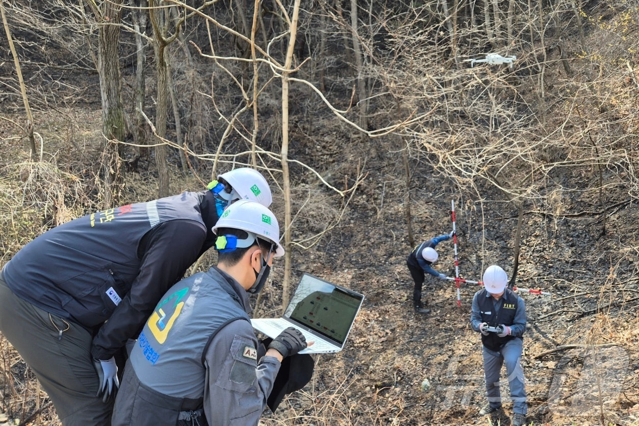 경북 안동 대형산불 피해지 산사태 위험 긴급진단 모습. (산림청 제공.재판매 및 DB금지)/뉴스1