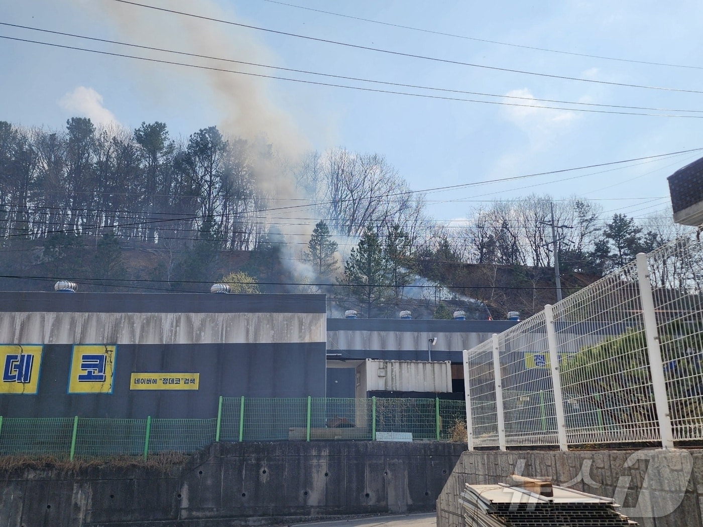 파주 산불(산림청 제공, 재판매 및 DB 금지)/뉴스1