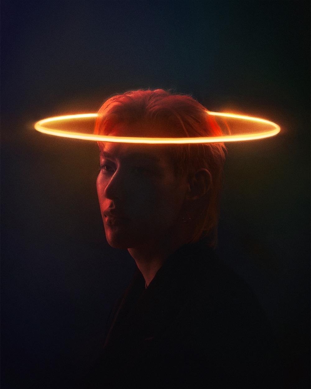 헤일로코퍼레이션