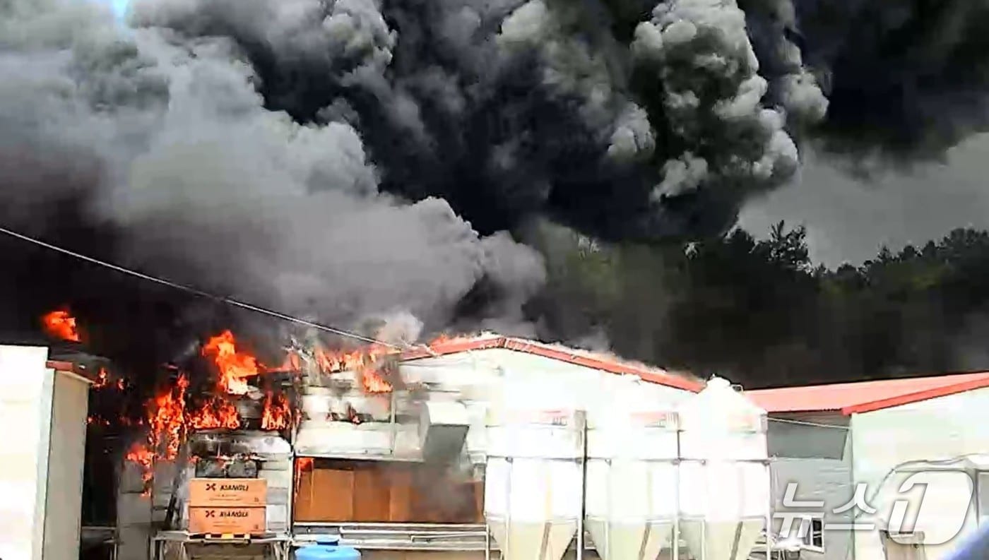 29일 오전 10시 56분쯤 경북 영주시 안정면 동원리 계사에서 불이나 소방 당국이 화재를 진압하고 있다.(경북소방본부 제공. 재판매 및 DB 금지)2025.4.30/뉴스1