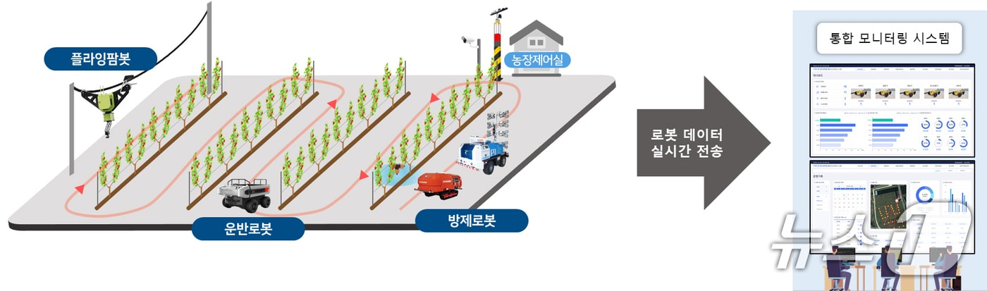 30일 경북 포항시가 2025년 농업용 로봇 실증 지원사업에서 상옥스마트사과연구회와 함께 촤종 선정됐다. 사진은 괴수원 내 농업용 로봇 실증 현장 도면. (포항시제공, 제판매 및 DB 금지) 2025.4.30/뉴스1