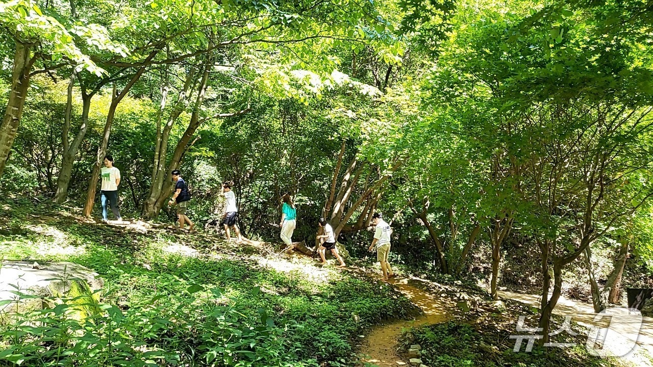 전북자치도 장수군은 '치유의 숲'이 전북자치도 문화관광재단이 선정한 웰니스관광지로 선정됐다고 30일 밝혔다.(장수군 제공. 재판매 및 DB금지)2025.4.30/뉴스1