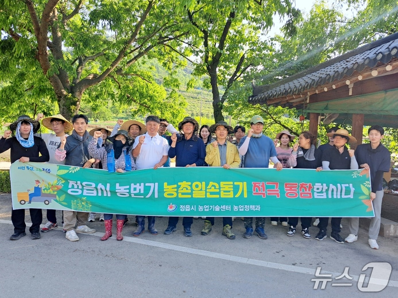  정읍시가 농촌 인구 감소와 고령화로 시름하는 지역 농가를 위해 농번기 인력 지원에 본격적으로 나섰다.(정읍시 제공, 재판매 및 DB금지)