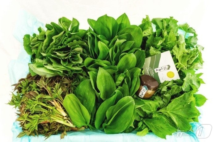 강원 영월군과 영월군전자상거래영농조합법인의 '영특한 산채꾸러미' 자료 사진. (영월군 제공. 재판매 및 DB금지) 2025.4.4/뉴스1