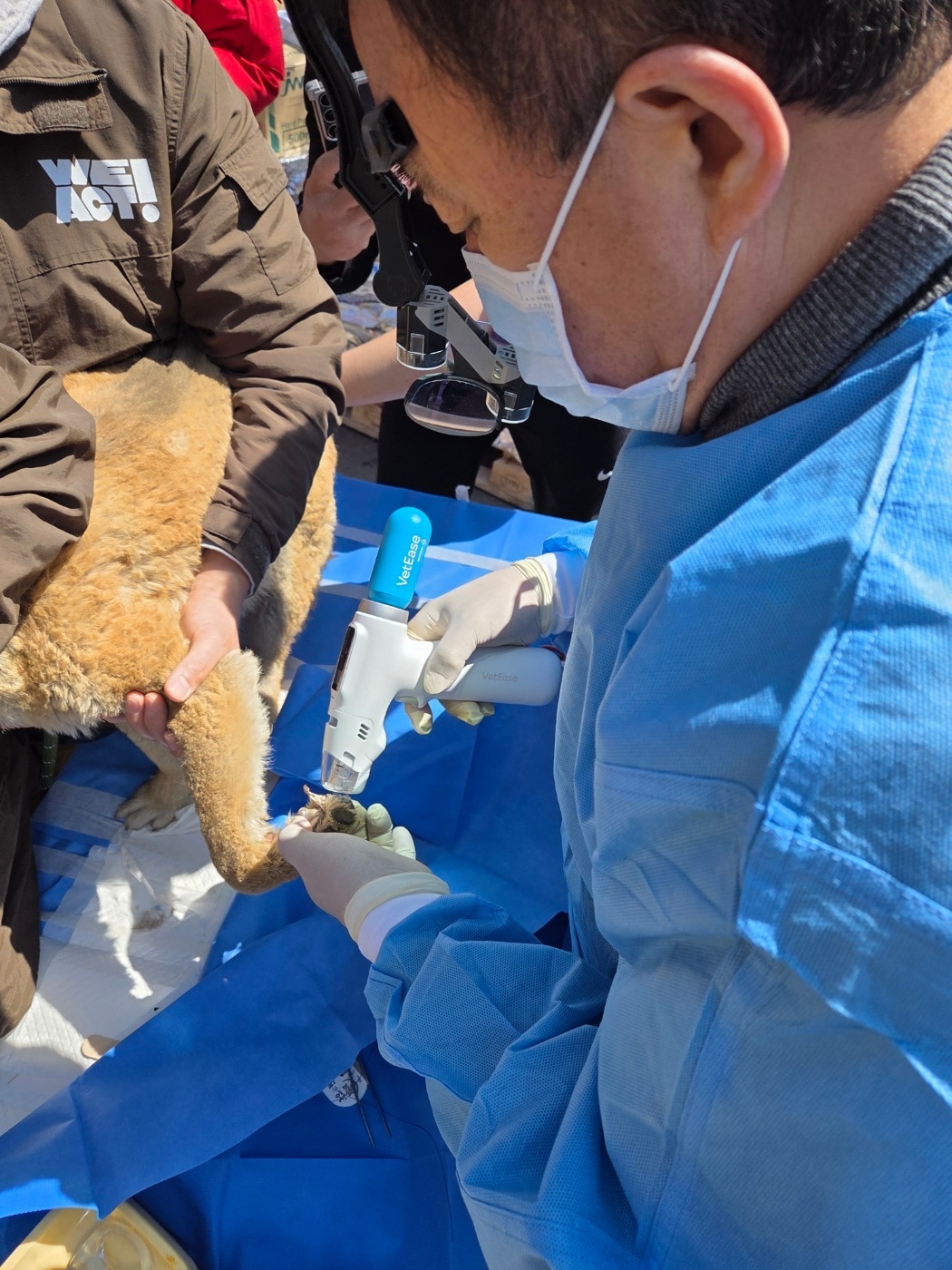 정인성 로얄동물메디컬센터 원장이 경북 영덕 산불 현장에서 벳이즈를 이용해 의료 봉사 활동을 하고 있다. (동물병원 제공) ⓒ 뉴스1