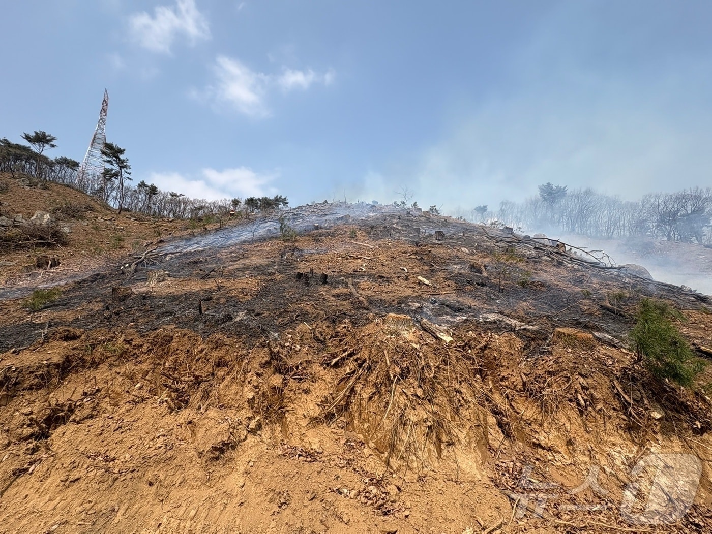 양주 산불 현장(산림청 제공, 재판매 및 DB 금지)/뉴스1