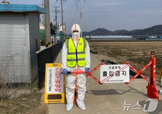 천안 풍세면의 한 산란계 농장에서 조류인플루엔자가 추가 발생했다. (사진은 기사 내용과 무관함) / 뉴스1 DB