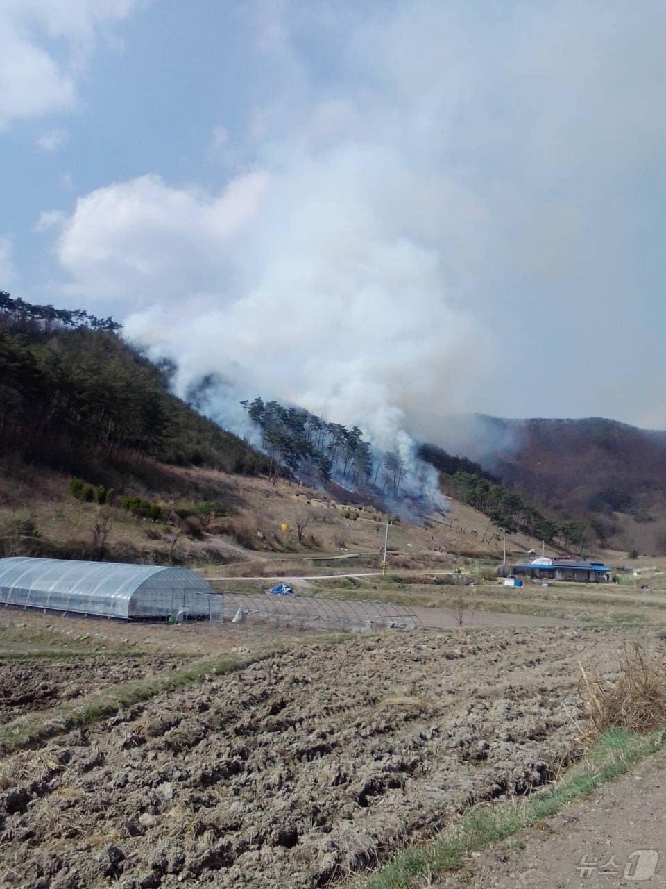 4일 오후 2시25분께 전북자치도 순창군 쌍치면 한 야산에서 불이 났다.(산림당국 제공. 재판매 및 DB금지)2025.4.4/뉴스1