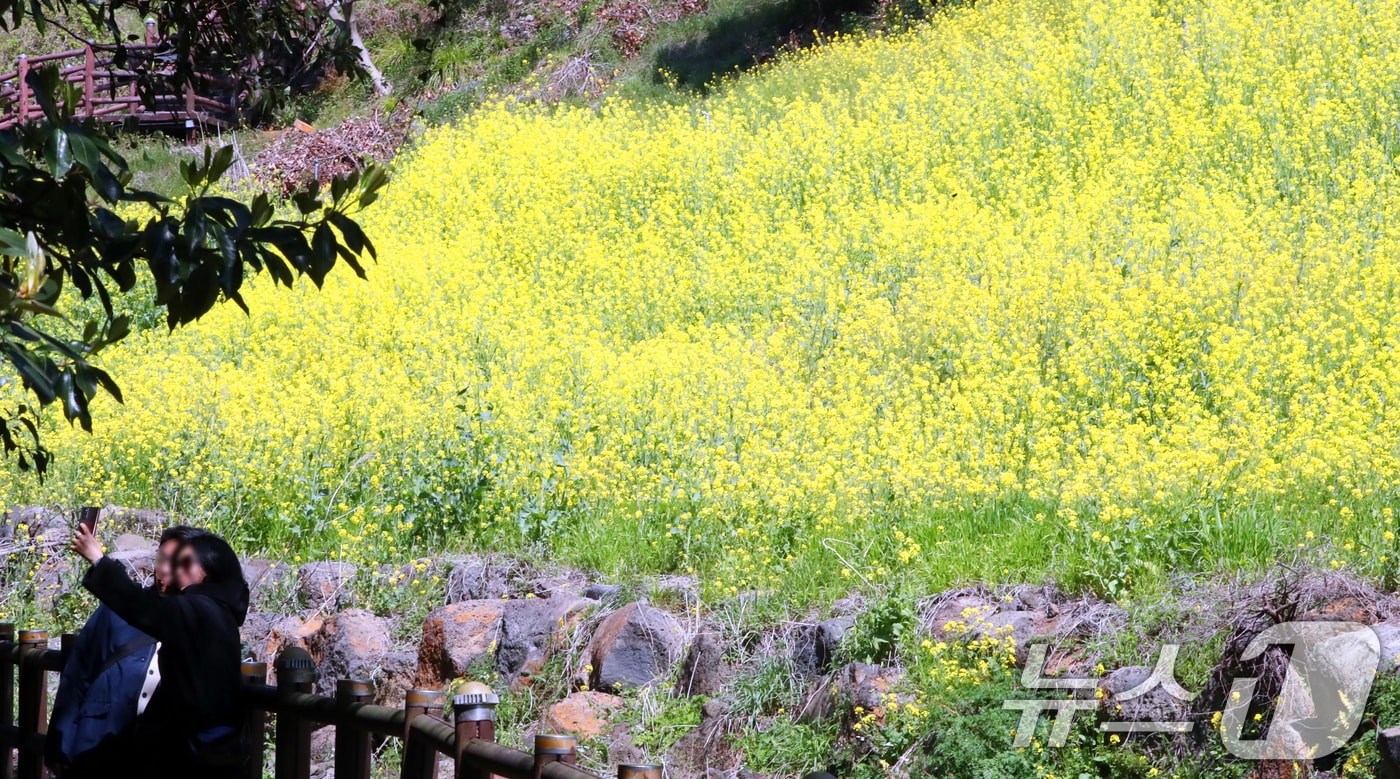 (사진은 기사 내용과 무관함) / 뉴스1 ⓒ News1
