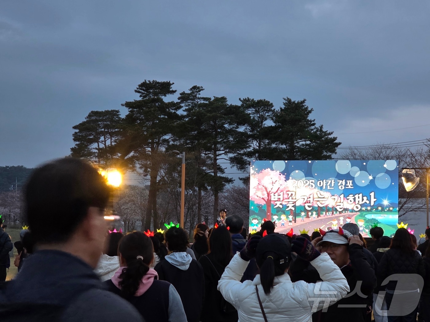 지난 5일 강원 강릉 경포도립공원 일대에서 '경포벚꽃축제'와 연계해 열린 '야간 벚꽃길 걷기' 행사 모습.(강릉시 제공, 재판매 및 DB 금지) 2025.4.6/뉴스1