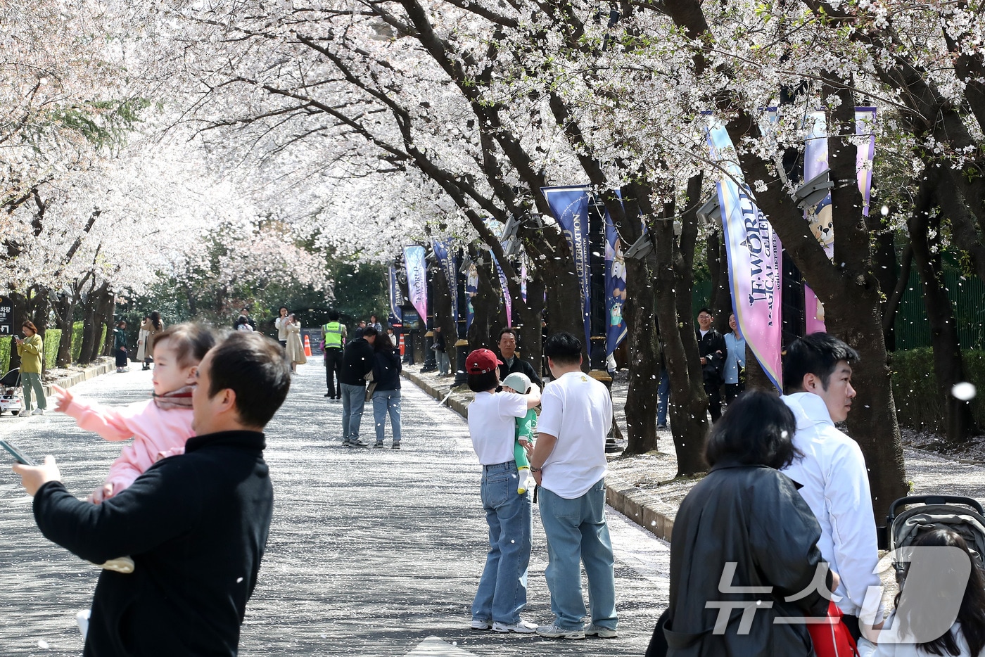 지난해 대구 이월드 벚꽃축제 기간 83타워 진입로에 바람을 타고 벚꽃잎이 흩날리는 모습. 2025.4.6 ⓒ 뉴스1 공정식 기자