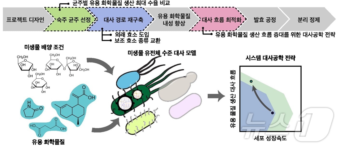 유용한 화학물질 생산을 극대화하기 위한 미생물세포공장 최적화 연구 개념도(KAIST 제공. 재판매 및 DB금지) /뉴스1