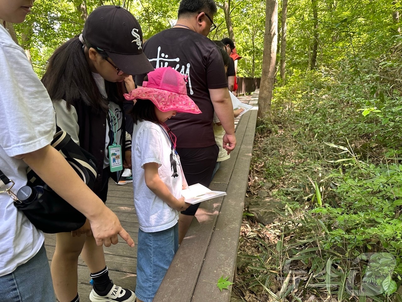 작년 국립장성숲체원에서 운영한 산재 근로자 가족 산림치유 프로그램 사진.(산림청 한국산림복지진흥원 제공.재판매 및 DB금지)/뉴스1