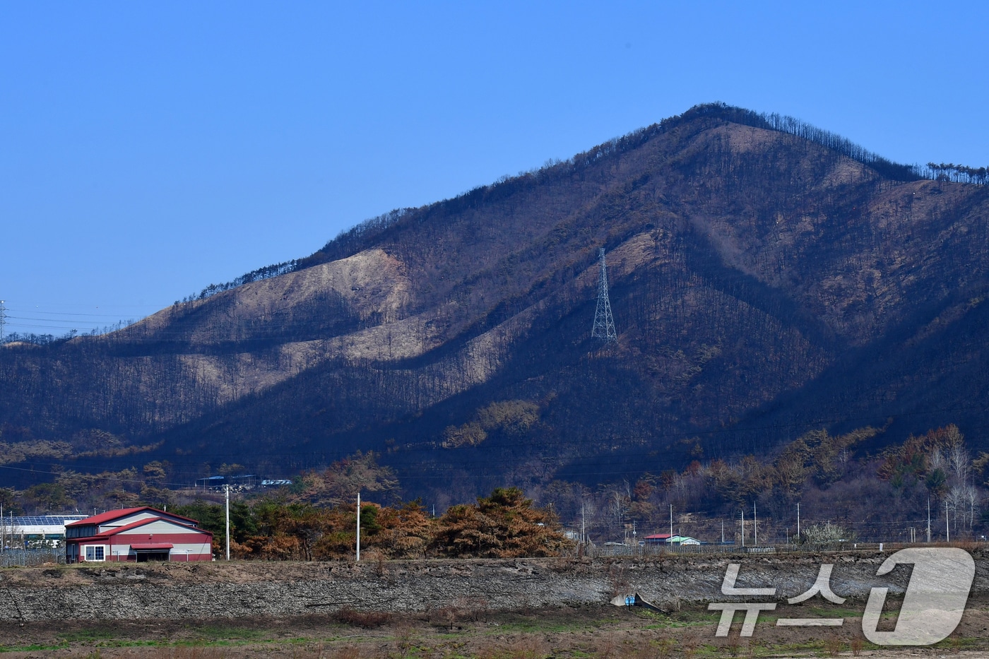 7일 오전 산불피해 지역인 경북 영덕군 달산면 산이 온통 검은색으로 변해 있다. 2025.4.7/뉴스1 ⓒ News1 최창호 기자