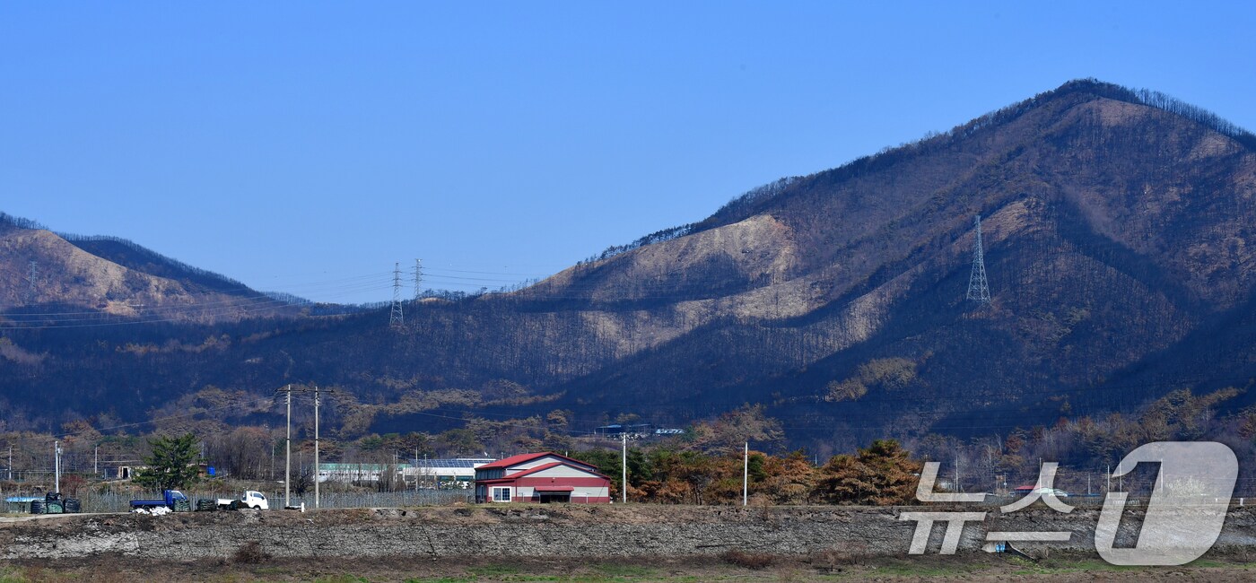 7일 오전 산불피해 지역인 경북 영덕군 달산면 산이 온통 검은색으로 변해 있다. 2025.4.7/뉴스1 ⓒ News1 최창호 기자