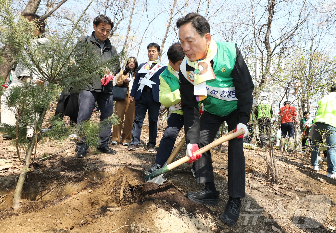 조성명 강남구청장이 나무를 심고 있다.(강남구청 제공)
