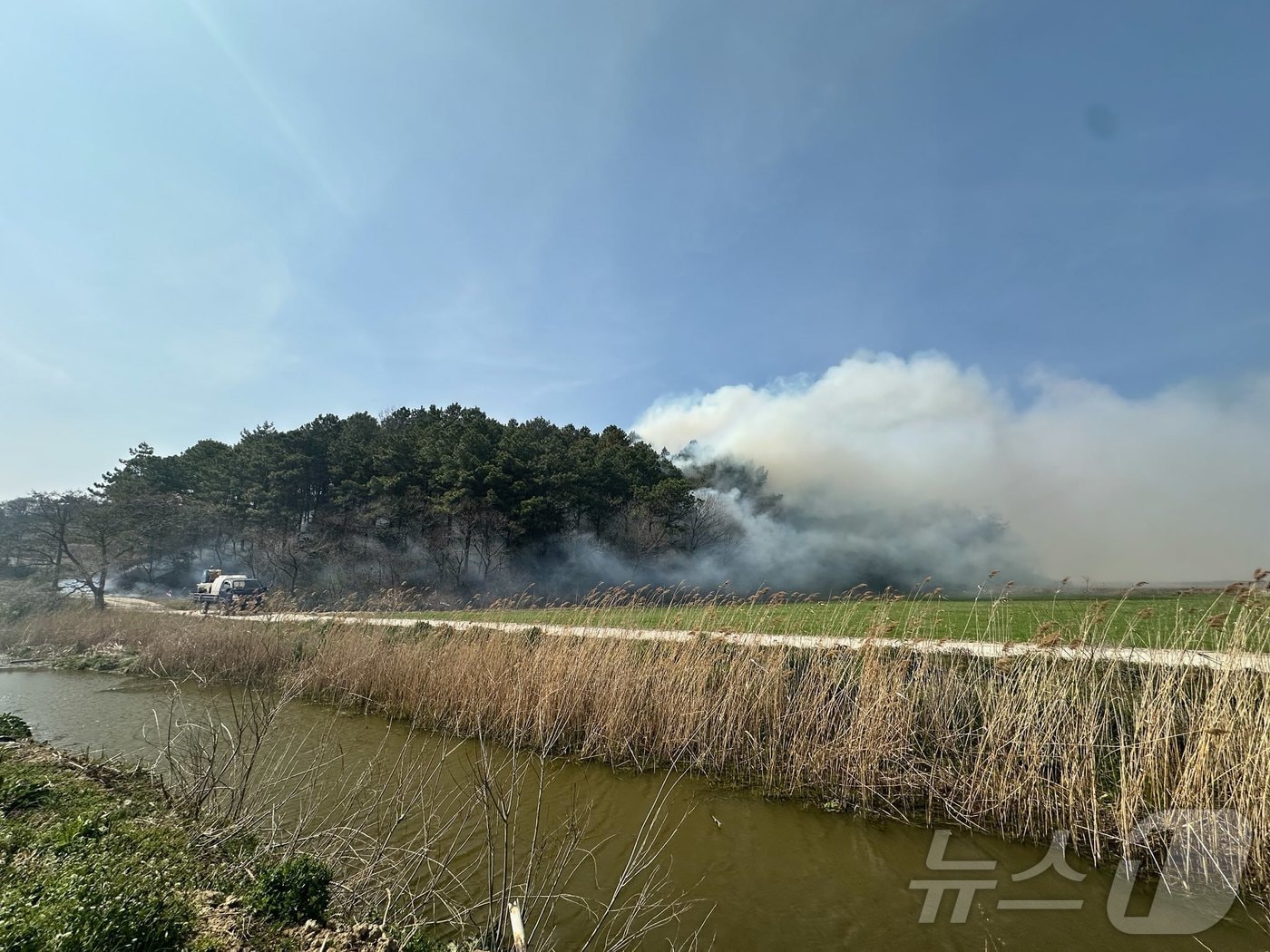7일 오후 2시 7분쯤 전남 무안군 해제면 광산리의 한 야산에서 불이 나 연기가 피어오르고 있다. (전남도 제공. 재판매 및 DB 금지) 