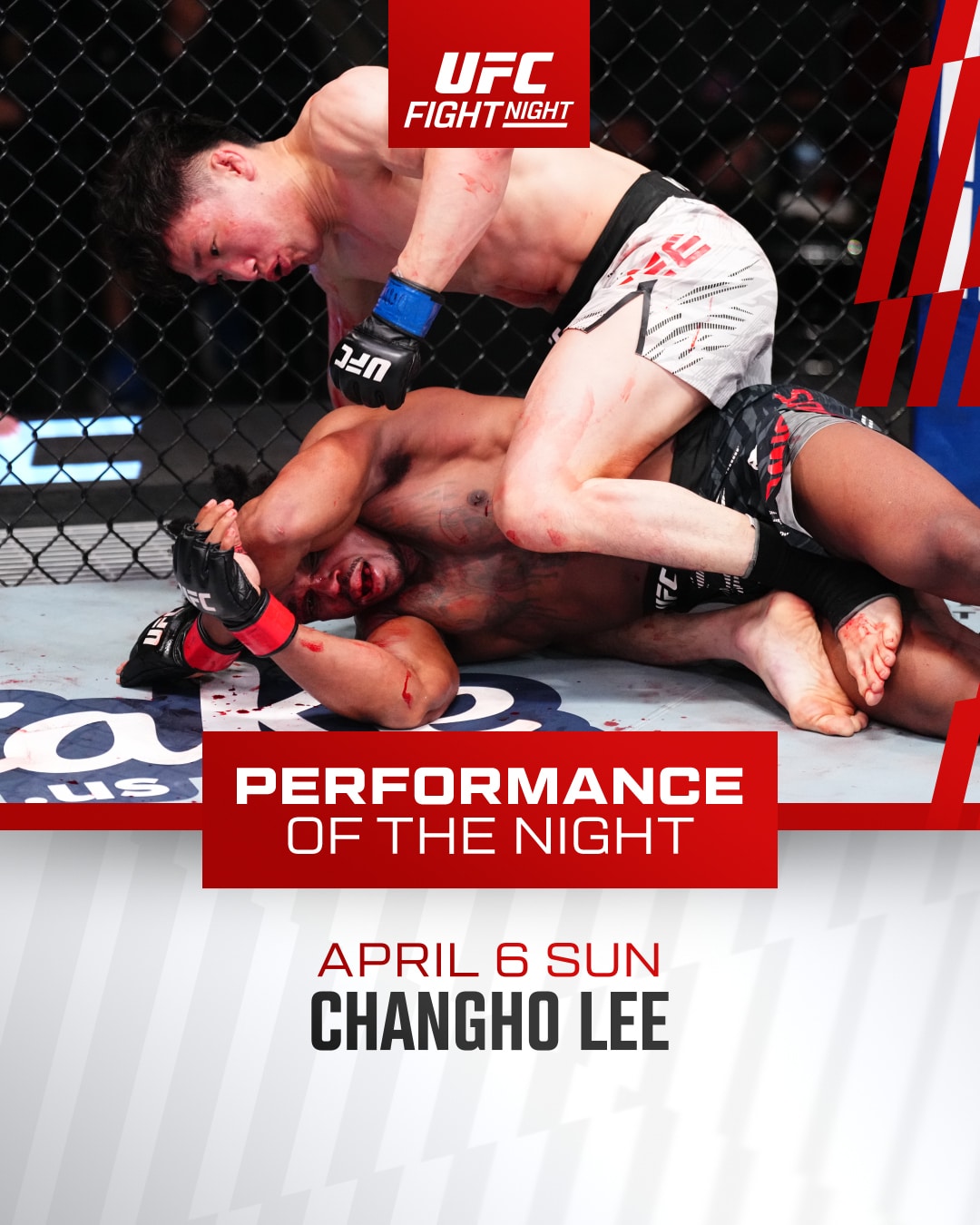 (UFC 제공)