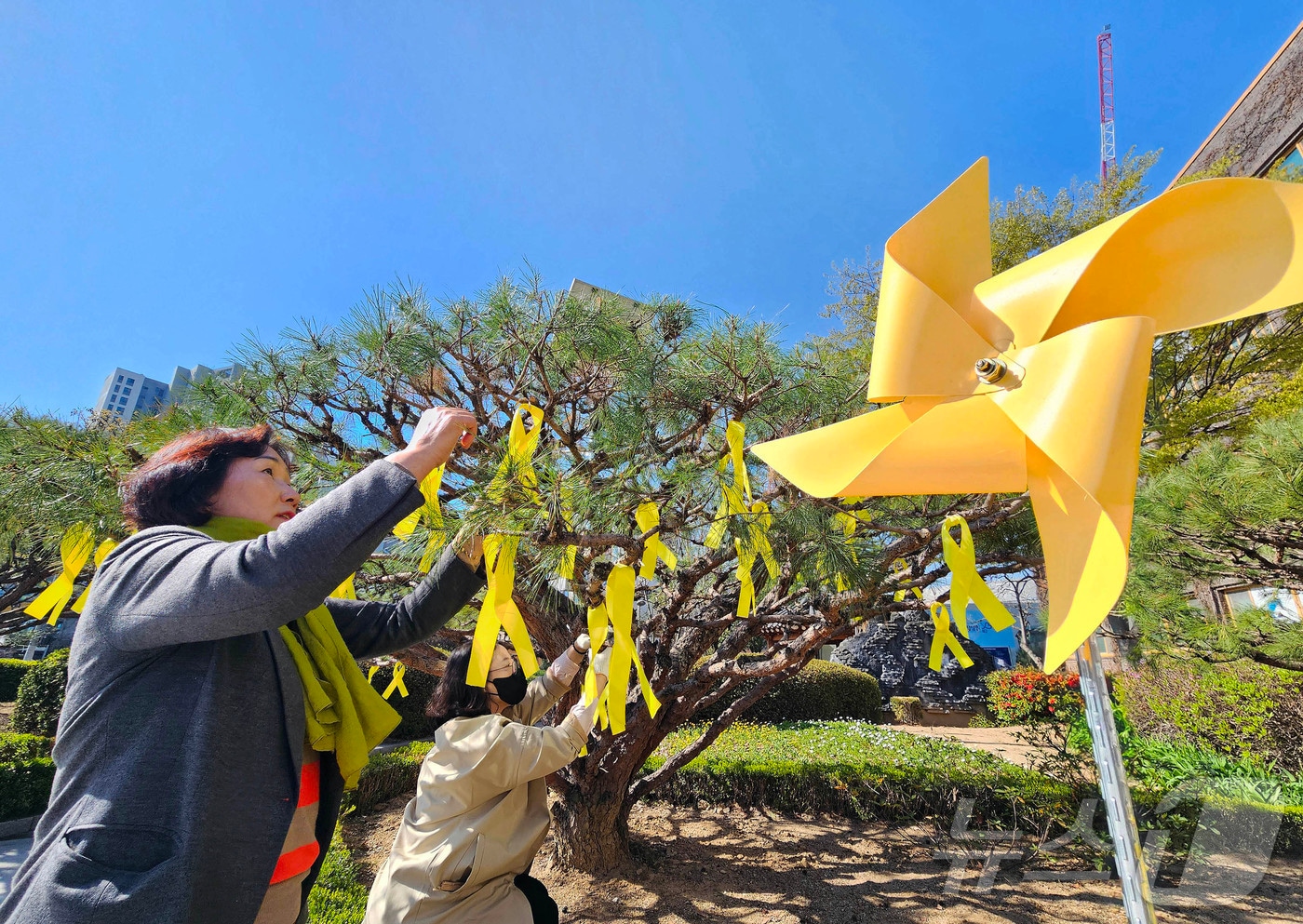 7일 광주 북구청 광장에서 구청 인권교육과 직원들이 세월호 참사 11주기를 맞아 광장 화단에 바람개비와 노란 리본 등을 설치하고 있다.(광주 북구 제공) 2025.4.7/뉴스1 ⓒ News1 박지현 기자